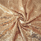 Sequin Mesh Net Drapes /Backdrop Curtain Panel