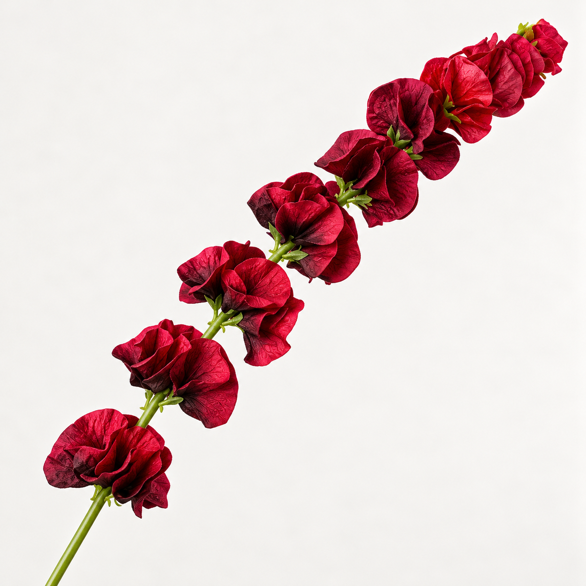 Artificial Shell Flower Stem