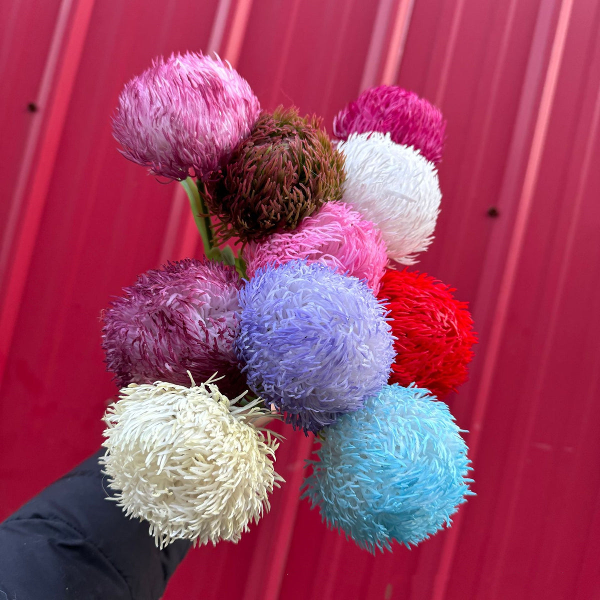 Real Touch Dianthus Flower Stem
