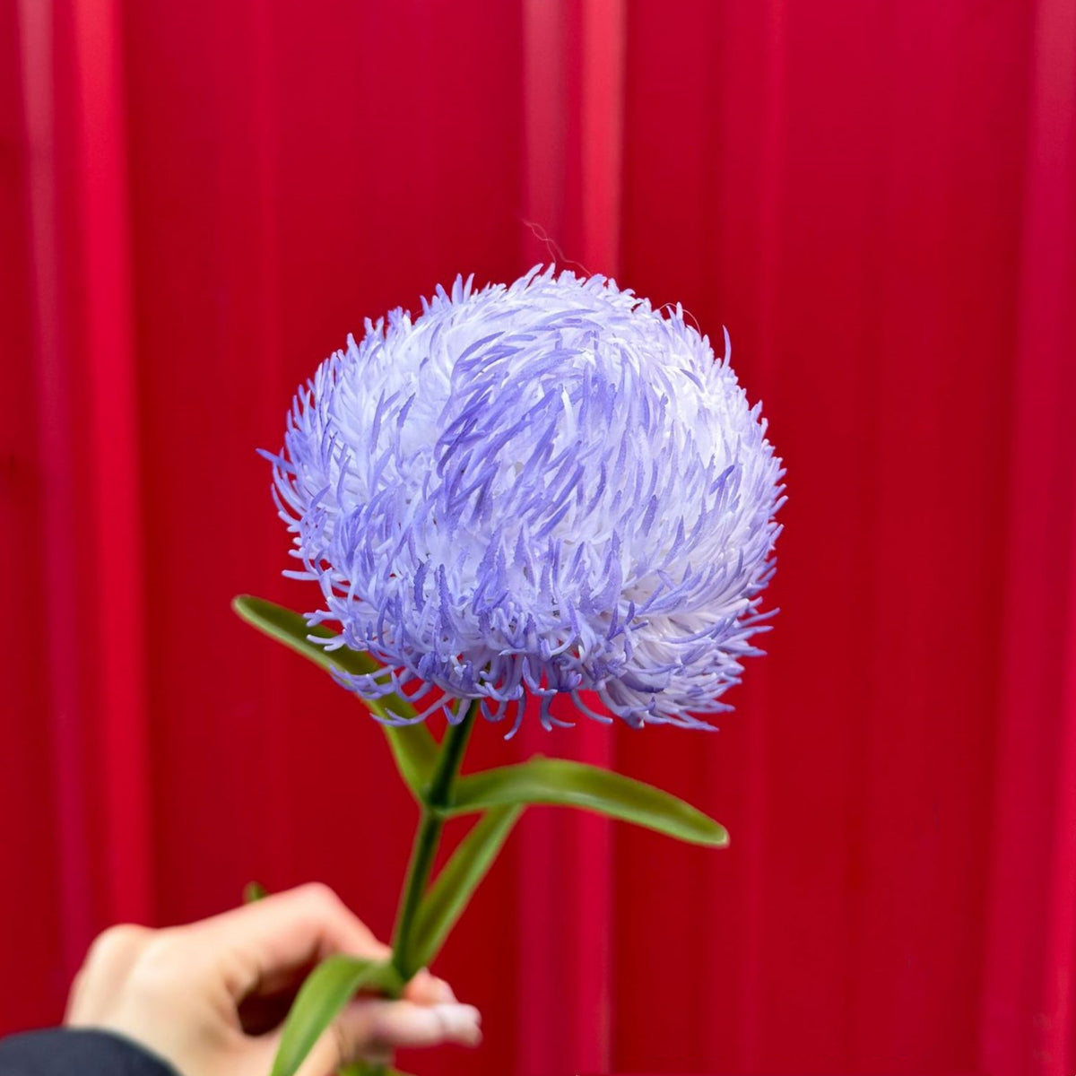 Real Touch Dianthus Flower Stem
