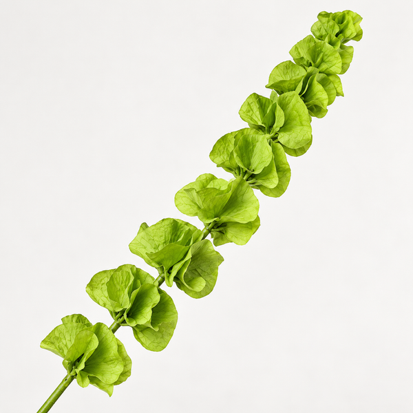 Artificial Shell Flower Stem
