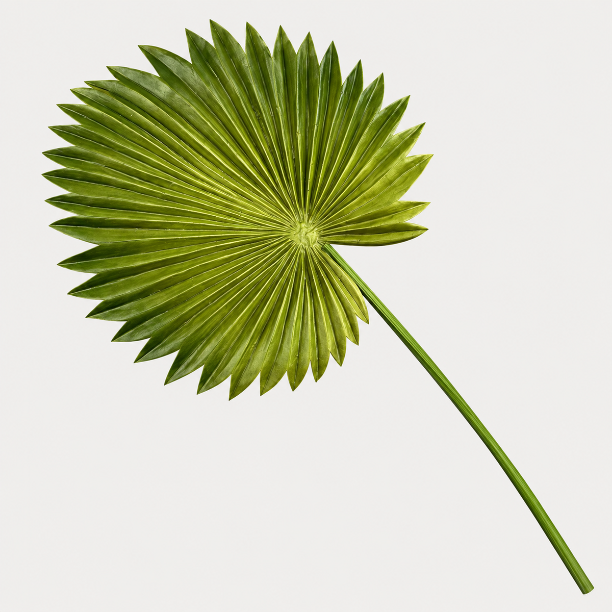 Artificial Fan Palm Leaf Stem