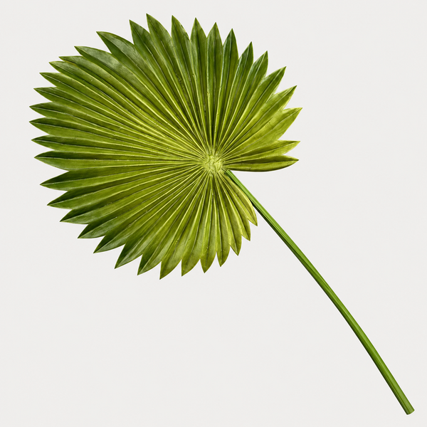 Artificial Fan Palm Leaf Stem