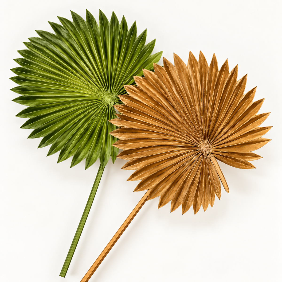 Artificial Fan Palm Leaf Stem