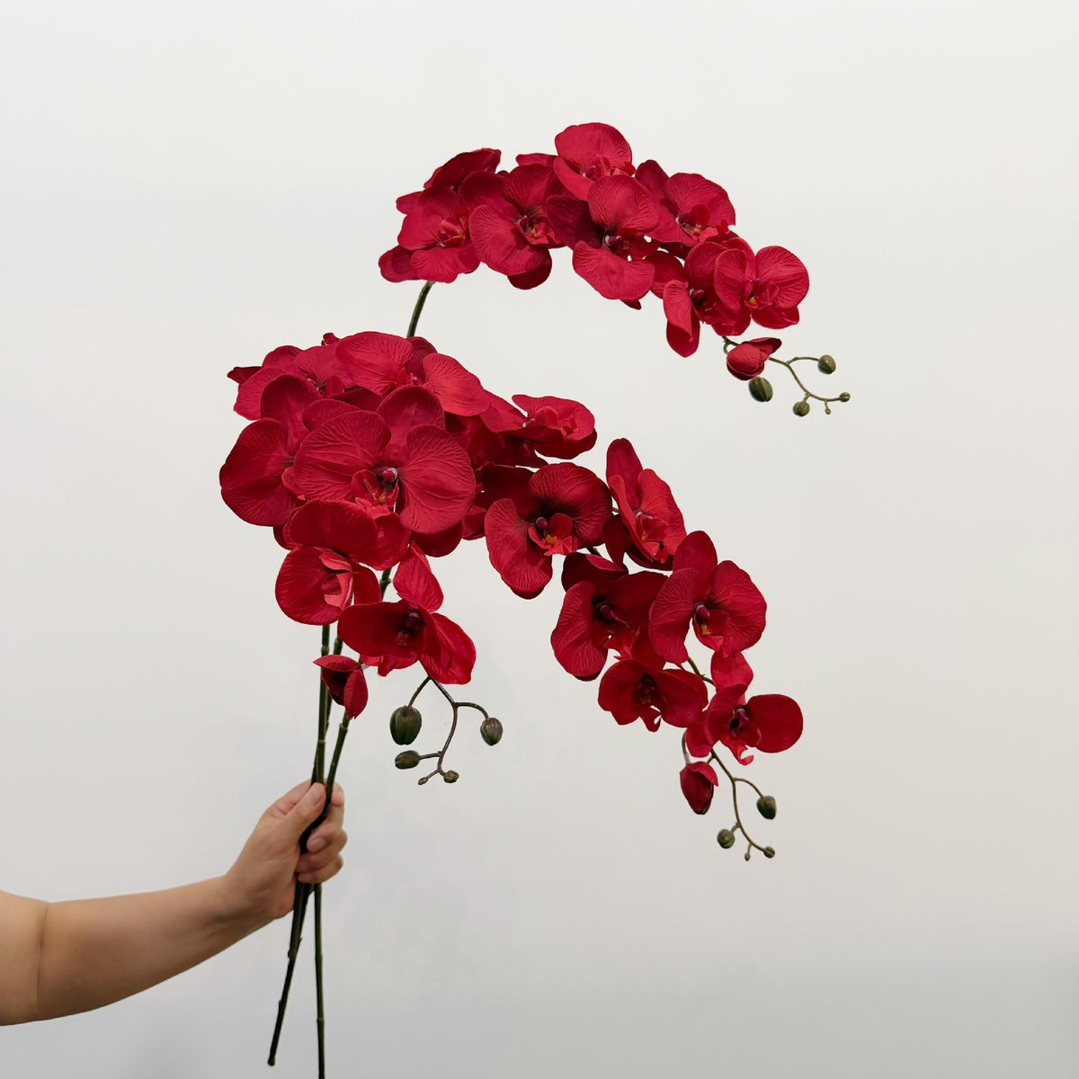 9-Head Faux Phalaenopsis Orchid Stem