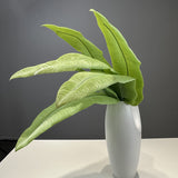 Elegant Faux Anthurium Leaf Realistic Natural Touch