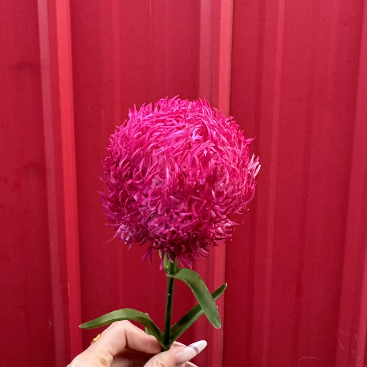 Real Touch Dianthus Flower Stem